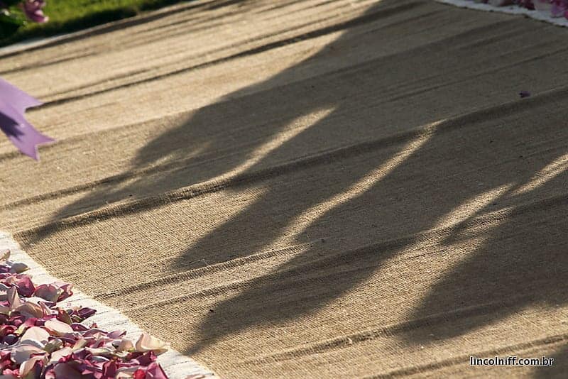 Sombras de folhas projetadas no piso claro